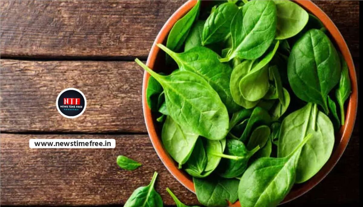 Spinach increases blood